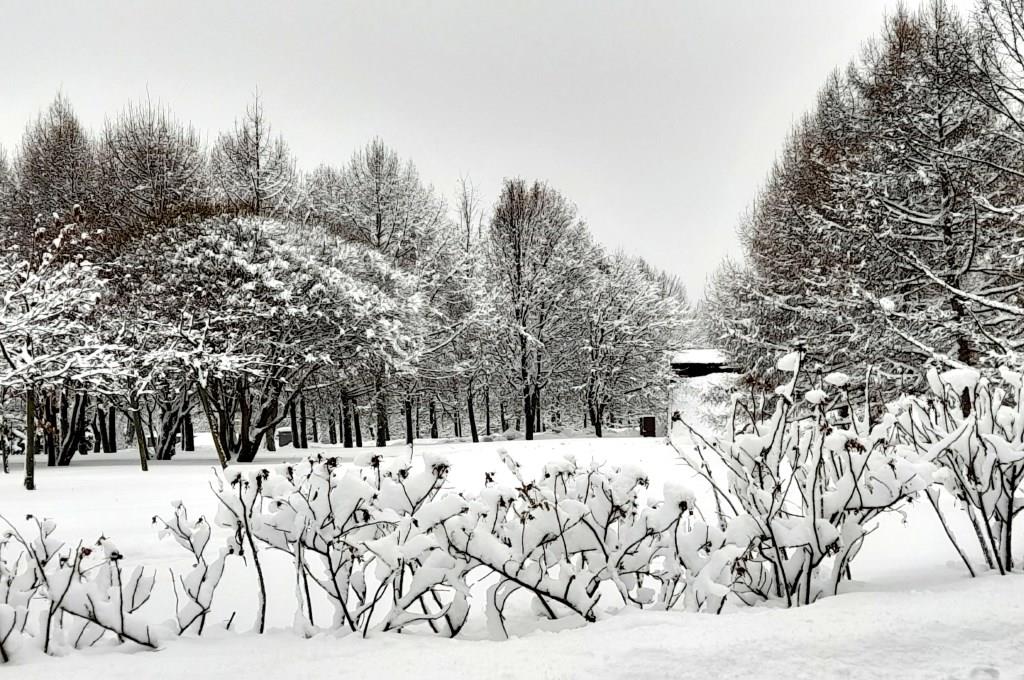 Зима заглянула в Москву - фото 2