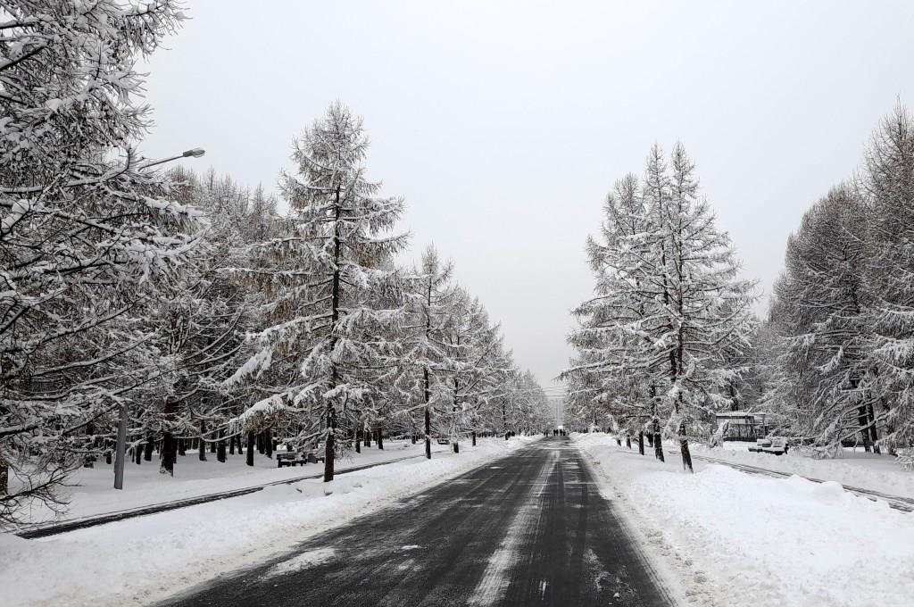 Зима заглянула в Москву - фото 4