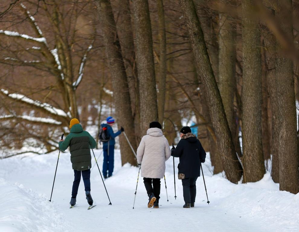 Встречайте зиму на природе: Мосприрода подготовила программу активного отдыха - фото 2