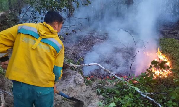 В Якутии тушат 92 лесных пожара, ликвидировано - 13 - фото 1