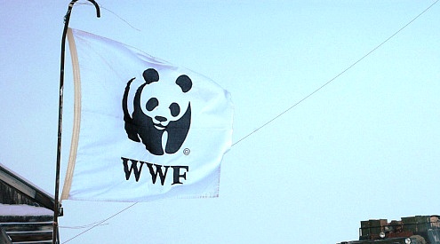 Медвежьи патрули WWF на Чукотке «проводили» моржей и готовы к приходу белых медведей - фото 1