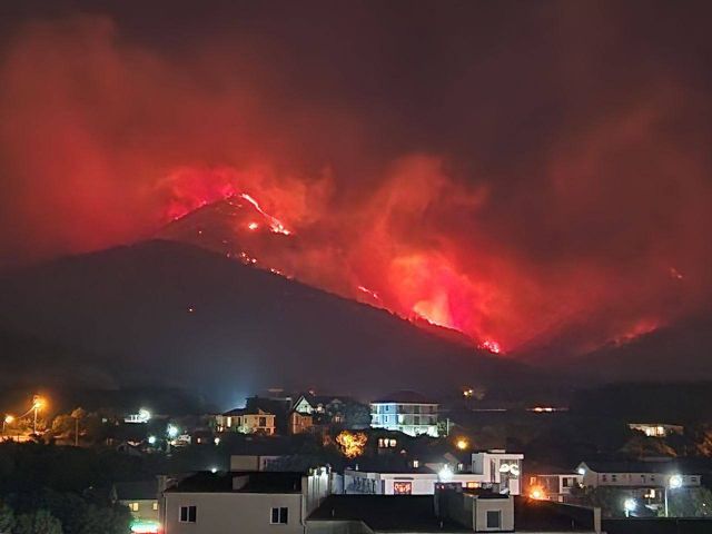 Лесной пожар в Геленджике указал на необходимость профилактики лесных пожаров    - фото 1
