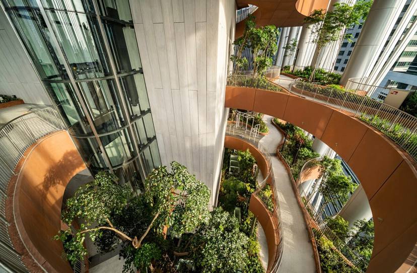 В Сингапуре построили необычный зеленый комплекс - фото 3