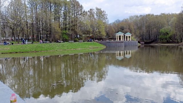 "Роща Сакуры" 2022 в Бирюлевском дендропарке - фото 1