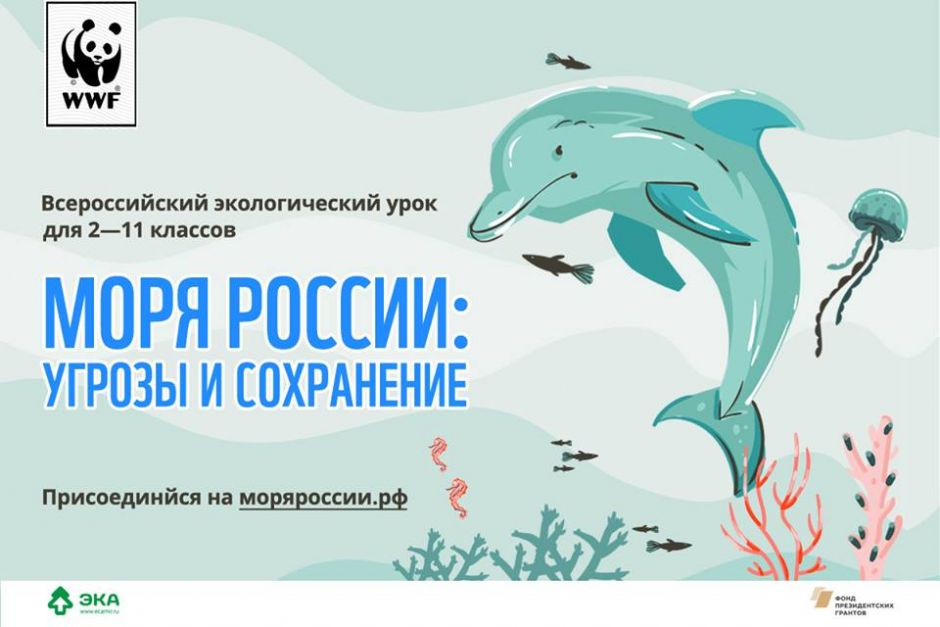"ЭкоГрад": Российских учителей приглашают провести  интерактивный экоурок «Моря России» - фото 2