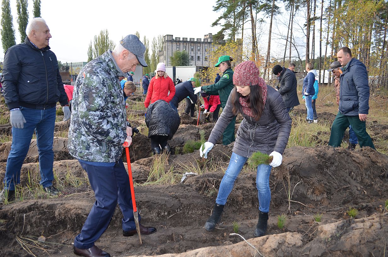 В Липецкой области проходит кампания «Сохраним лес» - фото 1
