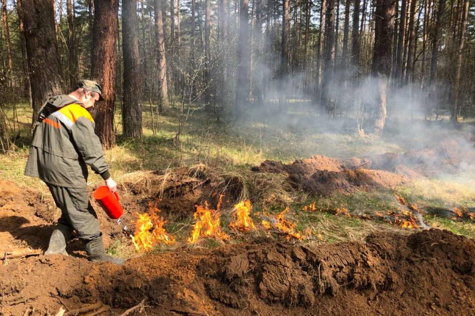 В 2019 году в Ярославском регионе сумма штрафов, наложенных за нарушение правил пожарной безопасности, составила более 2,3 миллионов рублей - фото 1