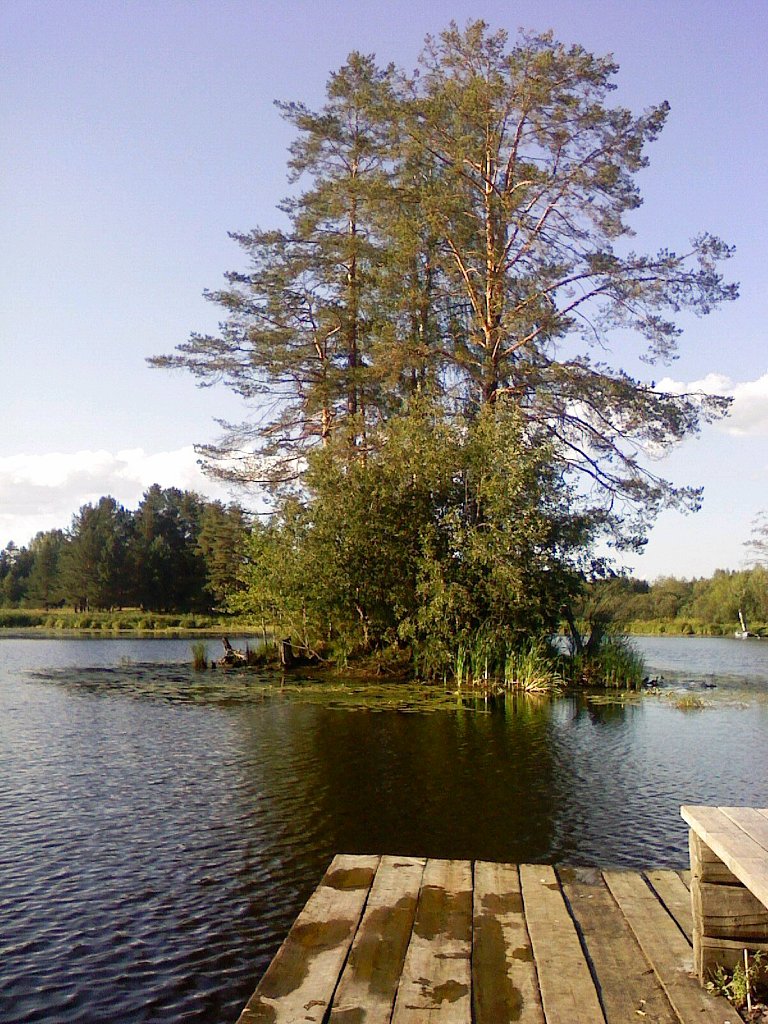 Храним память прошлого: лесной край, п. Воробьевица, Костромская область - фото 1