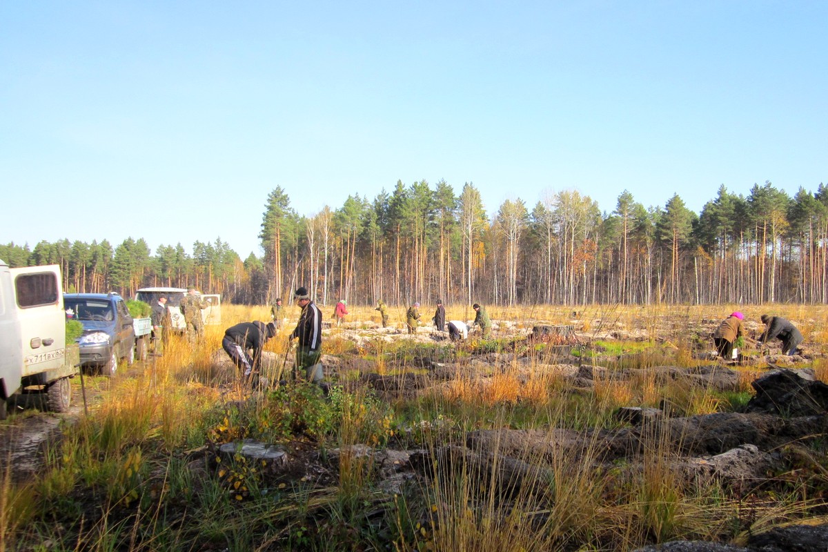 Кампания «Сохраним лес» в Рязанской области продолжается - фото 1